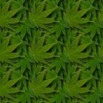 [pattern 2]